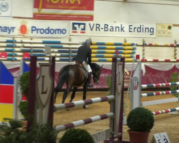 Reitturnier Eicherloh RH Laurent/Obb. 2019