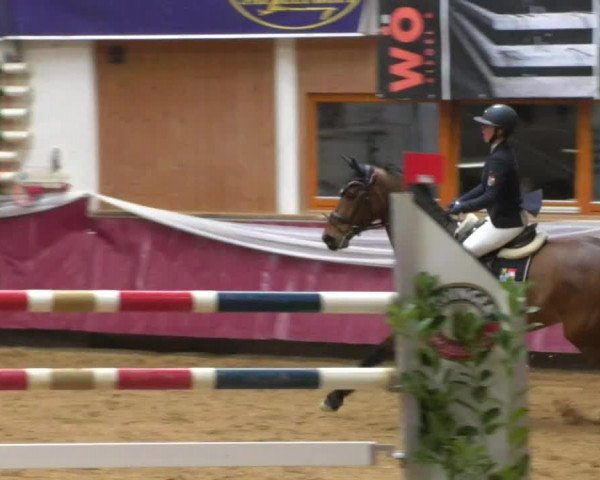 Reitturnier Eicherloh RH Laurent/Obb. 2019
