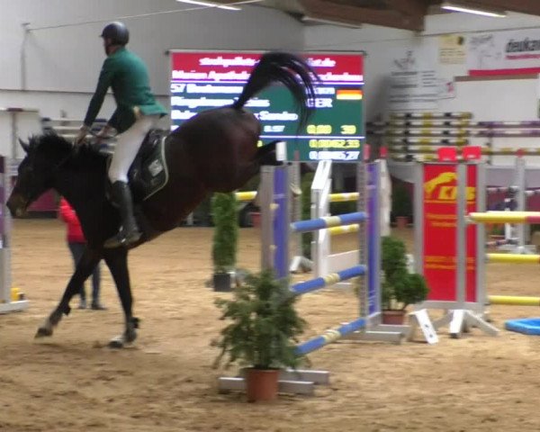 Reitturnier Eicherloh RH Laurent/Obb. 2019
