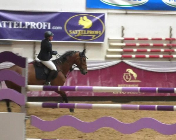Reitturnier Eicherloh RH Laurent/Obb. 2019