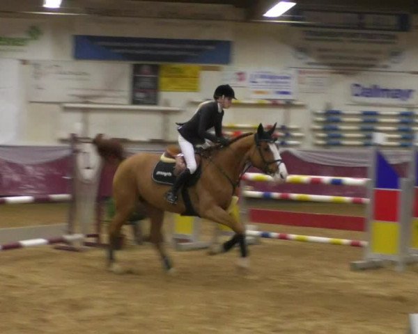 Reitturnier Eicherloh RH Laurent/Obb. 2019