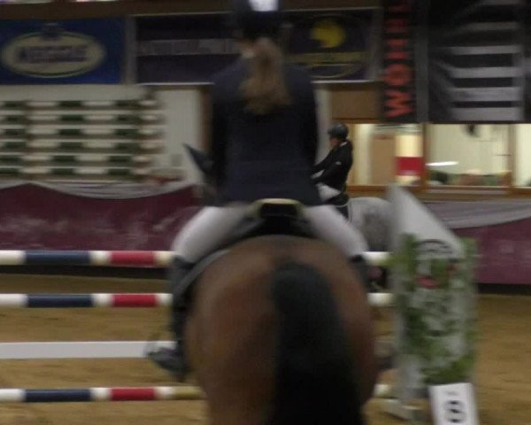 Reitturnier Eicherloh RH Laurent/Obb. 2019