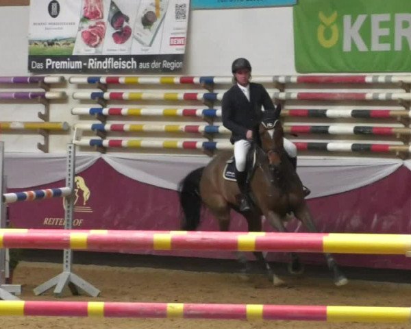 Reitturnier Eicherloh RH Laurent/Obb. 2019