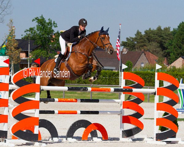 Springpferd Wolina Roundthorn (KWPN (Niederländisches Warmblut), 2003, von Numero Uno) Springpferd Wolina Roundthorn (KWPN (Niederländisches Warmblut), 2003, von Numero Uno)