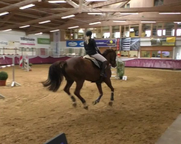 Reitturnier Eicherloh RH Laurent/Obb. 2019