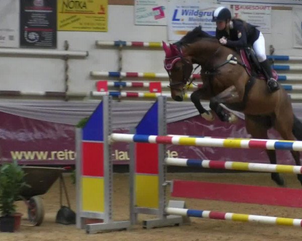 Reitturnier Eicherloh RH Laurent/Obb. 2019