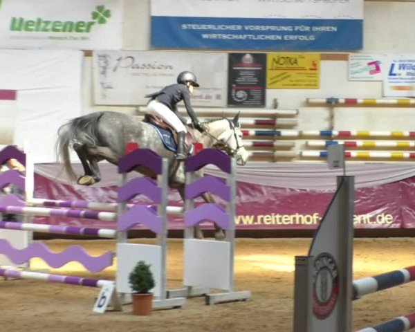 Reitturnier Eicherloh RH Laurent/Obb. 2019