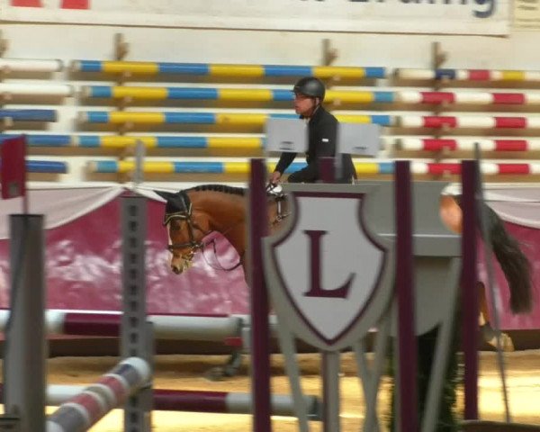 Reitturnier Eicherloh RH Laurent/Obb. 2019