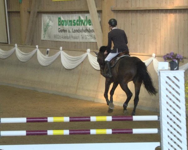 Reitturnier Friedrichshafen - Ailingen 2019
