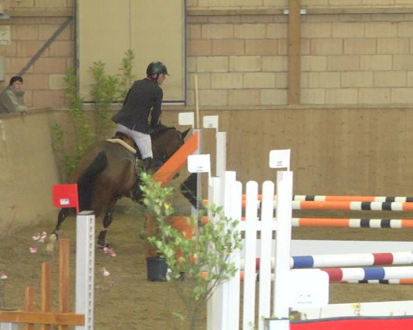 Reitturnier Friedrichshafen - Ailingen 2019