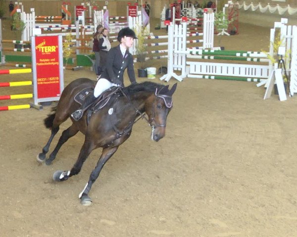 Reitturnier Friedrichshafen - Ailingen 2019
