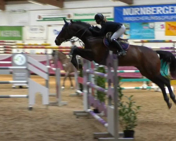 Reitturnier Eicherloh RH Laurent/Obb. 2019