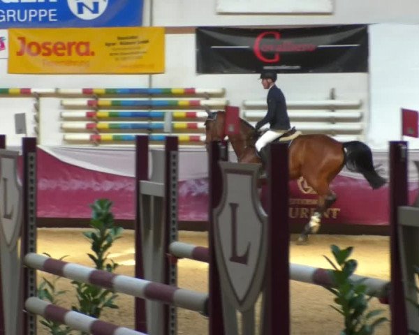 Reitturnier Eicherloh RH Laurent/Obb. 2019