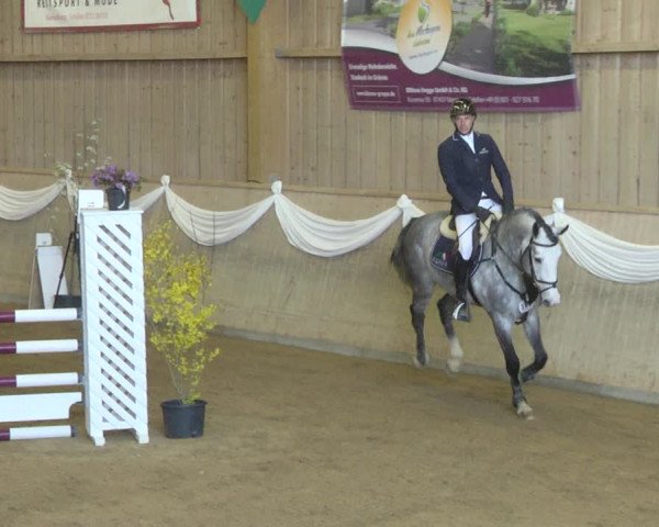 Reitturnier Friedrichshafen - Ailingen 2019