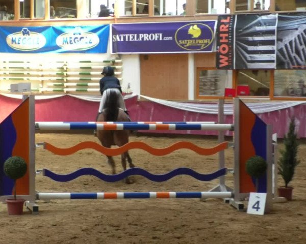 Reitturnier Eicherloh RH Laurent/Obb. 2019