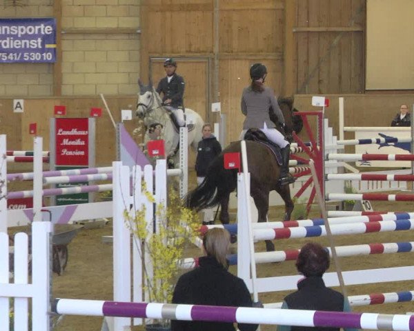 Reitturnier Friedrichshafen - Ailingen 2019