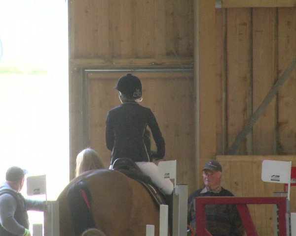 Reitturnier Friedrichshafen - Ailingen 2019