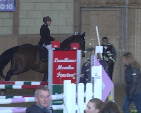 Reitturnier Friedrichshafen - Ailingen 2019