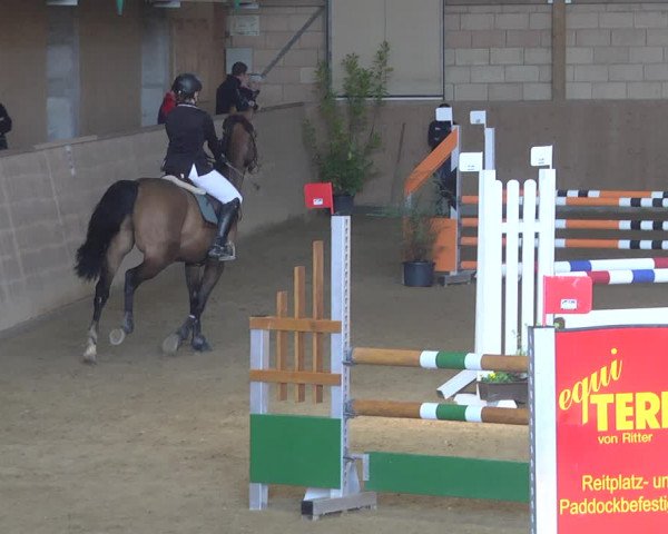 Reitturnier Friedrichshafen - Ailingen 2019