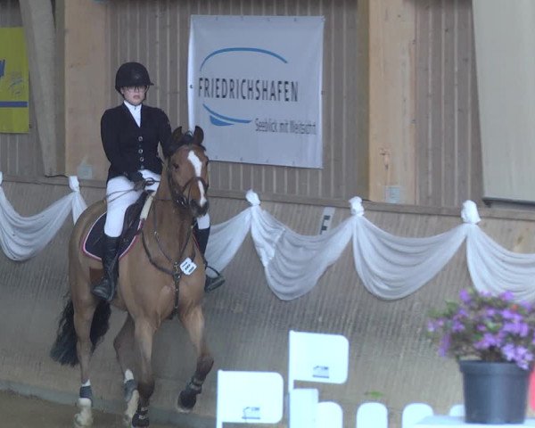 Reitturnier Friedrichshafen - Ailingen 2019