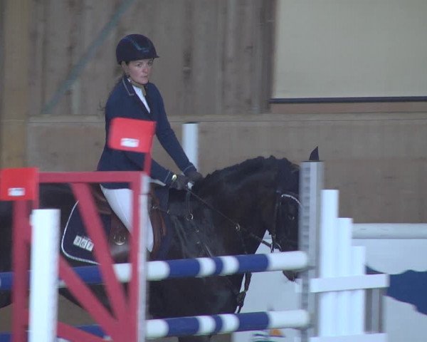 Reitturnier Friedrichshafen - Ailingen 2019