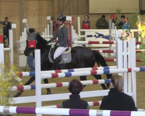 Reitturnier Friedrichshafen - Ailingen 2019