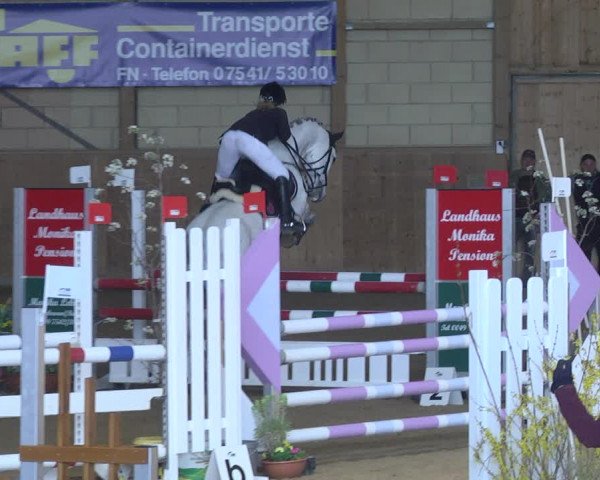 Reitturnier Friedrichshafen - Ailingen 2019