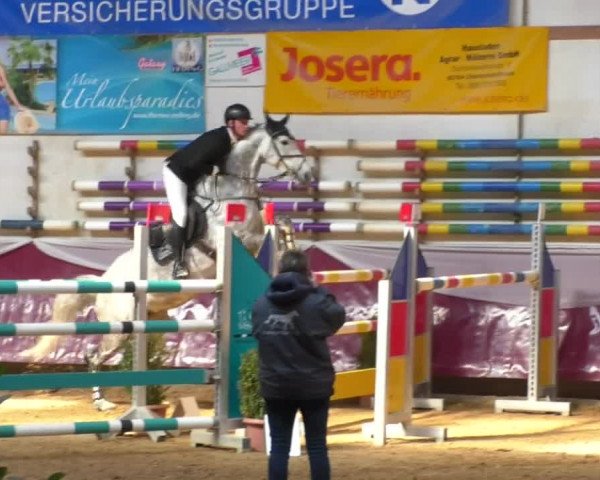 Reitturnier Eicherloh RH Laurent/Obb. 2019
