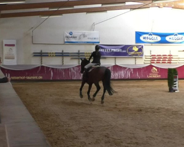 Reitturnier Eicherloh RH Laurent/Obb. 2019