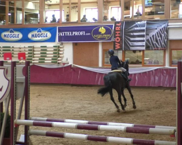 Reitturnier Eicherloh RH Laurent/Obb. 2019