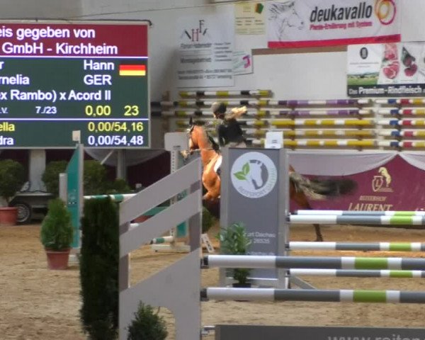 Reitturnier Eicherloh RH Laurent/Obb. 2019
