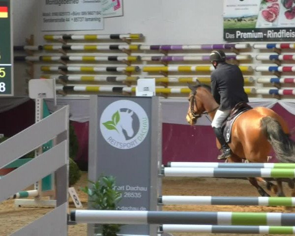 Reitturnier Eicherloh RH Laurent/Obb. 2019