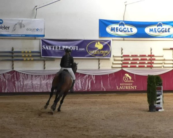 Reitturnier Eicherloh RH Laurent/Obb. 2019