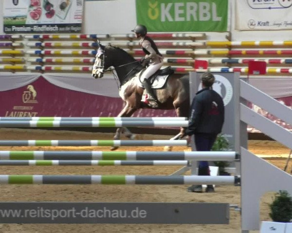 Reitturnier Eicherloh RH Laurent/Obb. 2019