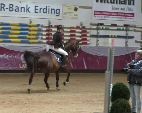 Reitturnier Eicherloh RH Laurent/Obb. 2019