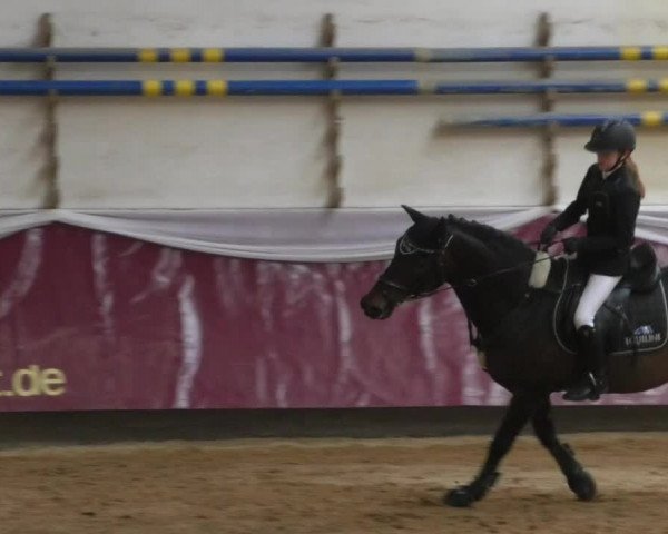 Reitturnier Eicherloh RH Laurent/Obb. 2019