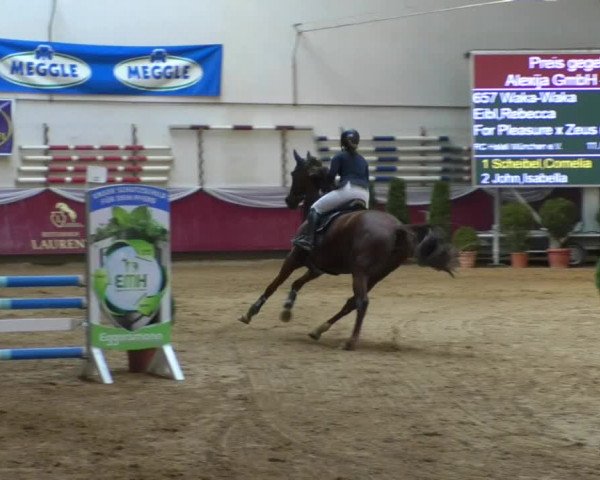 Reitturnier Eicherloh RH Laurent/Obb. 2019