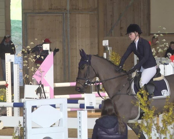 Reitturnier Friedrichshafen - Ailingen 2019