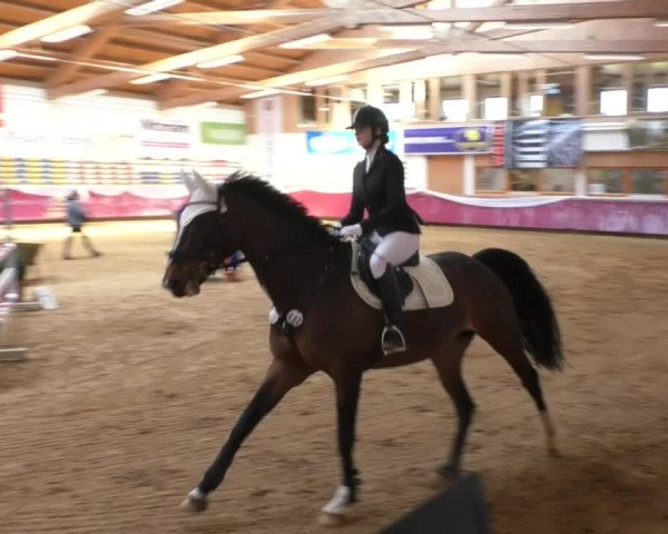 Reitturnier Eicherloh RH Laurent/Obb. 2019