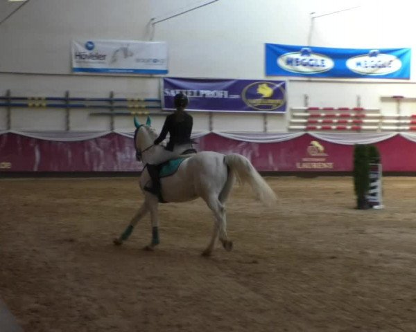 Reitturnier Eicherloh RH Laurent/Obb. 2019