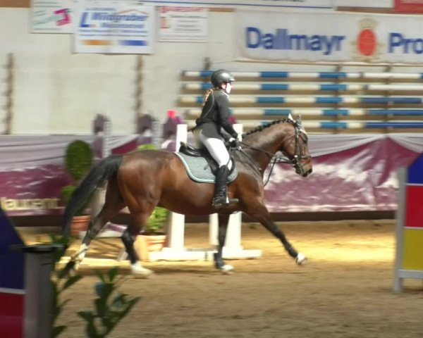 Reitturnier Eicherloh RH Laurent/Obb. 2019