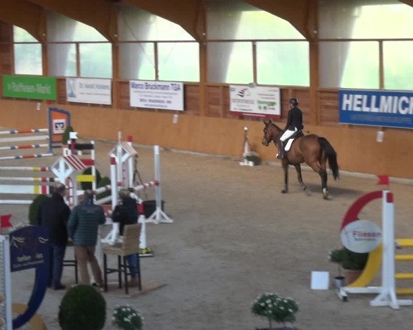 Reitturnier Xanten 2019