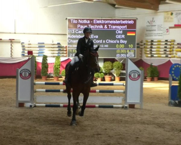 Reitturnier Eicherloh RH Laurent/Obb. 2019