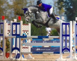 jumper Fort Blue (KWPN (Royal Dutch Sporthorse), 2010, from Plot Blue)