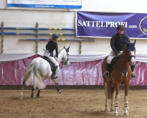 Reitturnier Eicherloh RH Laurent/Obb. 2019