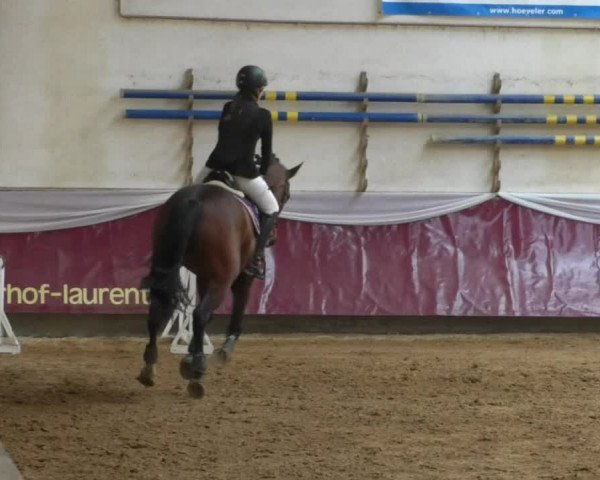 Reitturnier Eicherloh RH Laurent/Obb. 2019