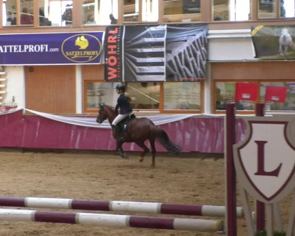 Reitturnier Eicherloh RH Laurent/Obb. 2019