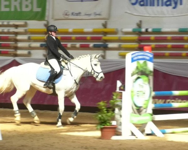 Reitturnier Eicherloh RH Laurent/Obb. 2019