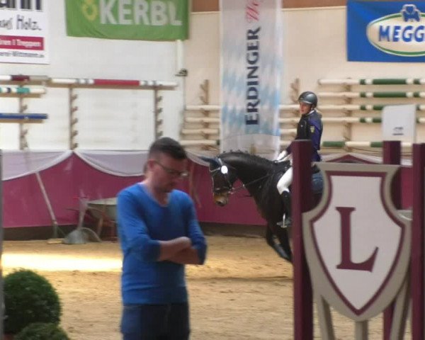 Reitturnier Eicherloh RH Laurent/Obb. 2019
