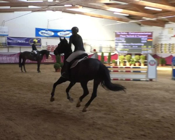 Reitturnier Eicherloh RH Laurent/Obb. 2019